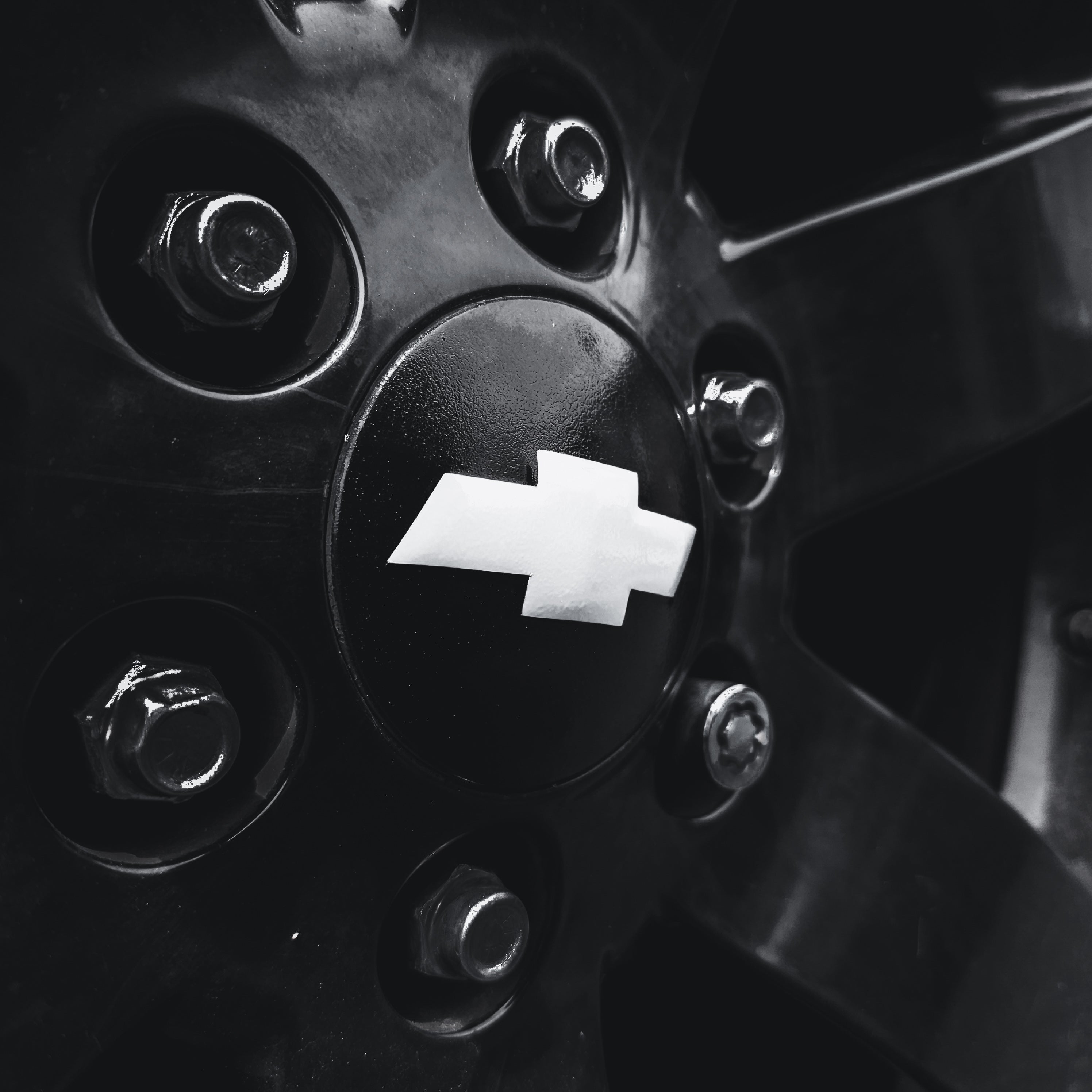 Trailblazer SS Center Cap Overlays