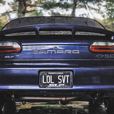 1993-2002 Chevy Camaro Berger Panel Inlay Decal