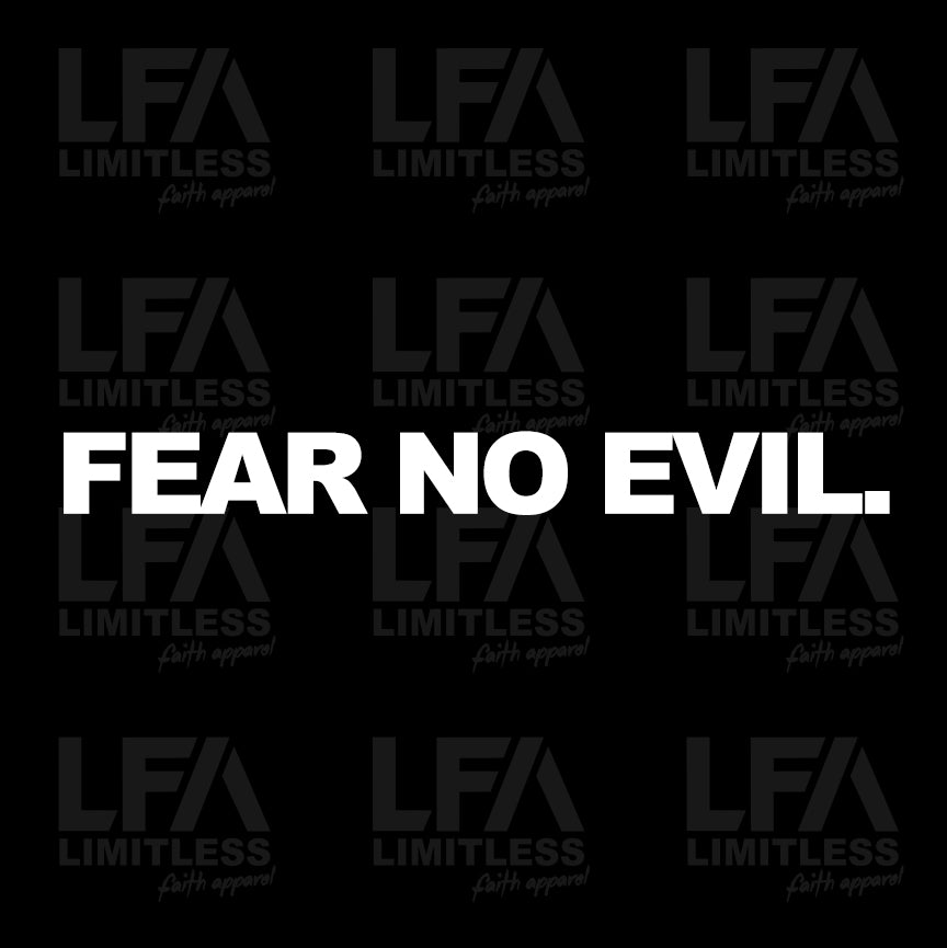 FEAR NO EVIL - Decal