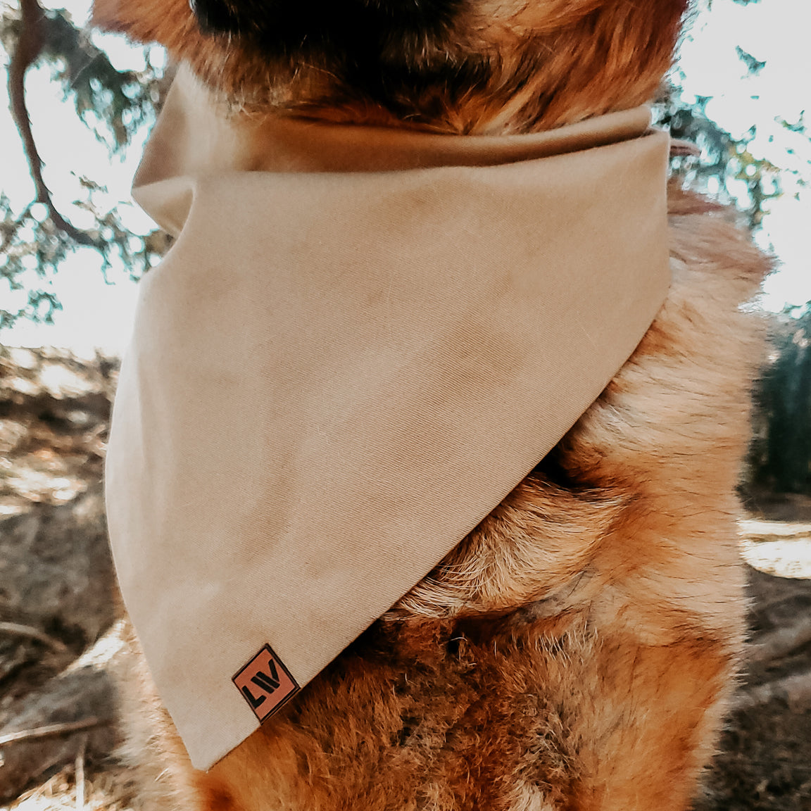 Rugged Pet Bandanas